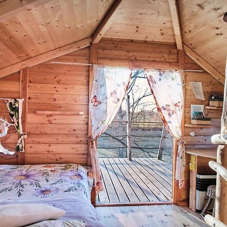 Вілла Treehouse Kremilek Jesenice  Екстер'єр фото