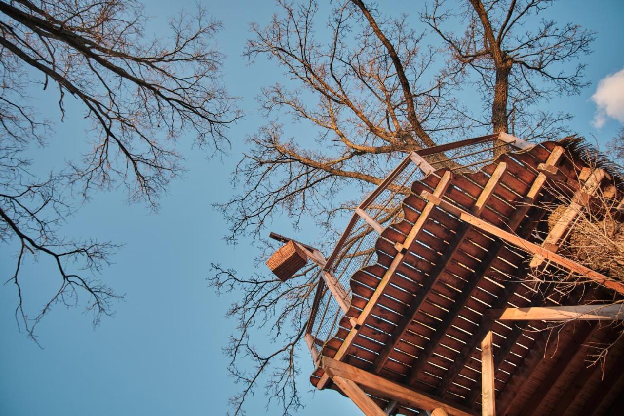 Вілла Treehouse Kremilek Jesenice  Екстер'єр фото